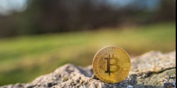 Crypto Spring Underway