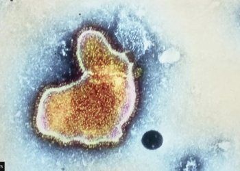 RSV vaccine