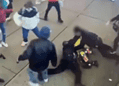 Migrant attack on NYC Police
