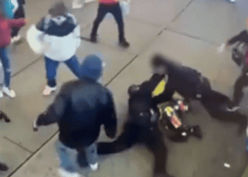 Migrant attack on NYC Police