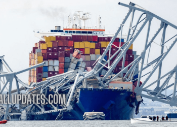 Baltimore bridge collapse: What will happen to the 21 sailors stranded on the Dali?